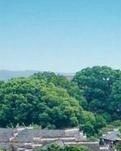【江山·根与魂】【东篱】燕坊古村寻迹行（散文）