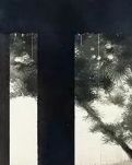 【晓荷】系我一生心，负你千行泪（随笔）