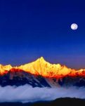 【家园】让我们共同关爱地球上的星星（随笔）