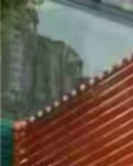 【看点】我与东北烤肉的那些事（随笔）