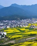 【家园】故乡紧紧攥住我的手（散文）