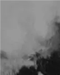 【江山·根与魂】【柳岸】丹江锄奸（剧本.豫剧）