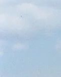 【晓荷·人世间】我的老大伯（散文）