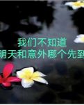 【柳岸】茶语（诗歌/外一首）