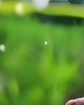 【晓荷·人世间】奔跑的蜗牛（散文）