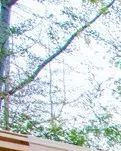 【齐鲁】魅力山东夏日深度游（散文）