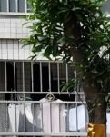 【晓荷·人世间】康复（散文）
