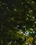 【晓荷·人世间】温暖与敬畏（散文）