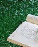 【金文】我的求学之路（散文）