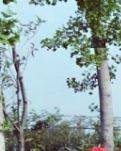 【晓荷·人世间】时光分合处，岁月暖如诗（散文）