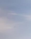 【晓荷·人世间】爱的乐章（散文）
