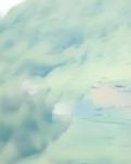 【晓荷·人世间】芳妮的暖光（散文）