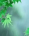 【晓荷.奖】雨忆（散文）