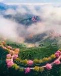 【金文·晨曦】怡情景观（诗词古韵）