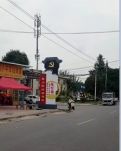 【丁香·爱心】去陈村（散文）