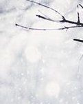 【绿野●雪】活在当下雪寒摆地摊售卖和棉服而购者的坚强（杂谈随笔）