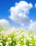 【晓荷·奖】彩虹装饰的夏天（散文）