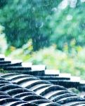 【晓荷·奖】江南雨恋（散文）