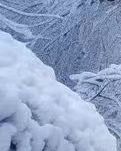 【绿野·雪】修身养性关乎事业规模和家族兴衰（杂谈随笔）