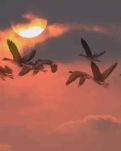 【浪花·岁月】讨论墓地（口水诗）