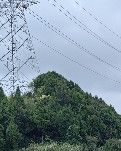 【诗韵】诗词四首（古韵）