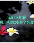 【柳岸·星】双亲不在了（诗歌/外二首）