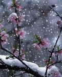 【浪花·岁月】还有一丝黎明（现代诗）