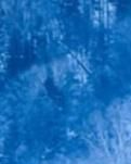 【绿野·雪】飘雪的离经叛道（外一首）