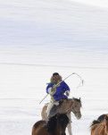【绿野·雪】飘雪的升腾焕彩（外一首）