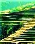 【晓荷·奖】故乡（散文）