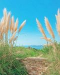 【浪花·岁月】孤独的星辰（现代诗）