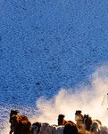【绿野·雪】飘雪的滚烫升华（外一首）