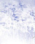 【绿野·雪】飘雪的狂暴不羁（外一首）