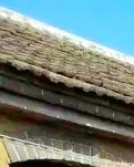 【晓荷·奖】小院（散文）