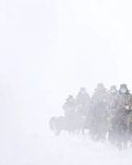 【绿野 雪】无论时代如何发展但我们更应尊崇和敬仰英雄（杂文随笔）