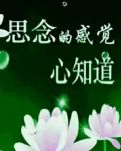 【柳岸·福】当思念成了习惯（组诗）
