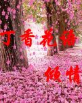 【丁香·希望】被我拉黑的社长（散文）