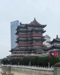 【诗韵】乙巳新春游滕王阁赋（古韵）