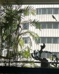 【敏思】幸福是什么 . 文/ . 妍冰