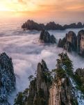 【星月】你是人间四月天(七律六首）