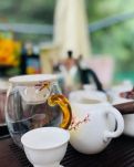 【诗韵●暖】莺啼序●峡江品茗（古韵）