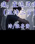 【风恋】痛，直达灵魂（组诗）