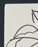 【江山·见证】【流年】得闲画画（散文）