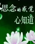 【柳岸】初夏又忆亲人心（散文）