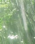 【绿野·夏】我们是被有风的诗和会雨的远方一起期待（诗歌）