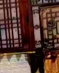 【江山·见证】【流年】夏日拾贝六帖（散文）