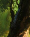 【江山·见证】【晓荷】灶火（散文）
