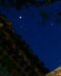 【江山·见证】【晓荷】夏日里的槐花香（散文）