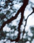 【江山·见证】【晓荷】铜铃铛的响声（散文）