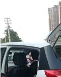 【丹枫】夏日里的寻常（诗歌）